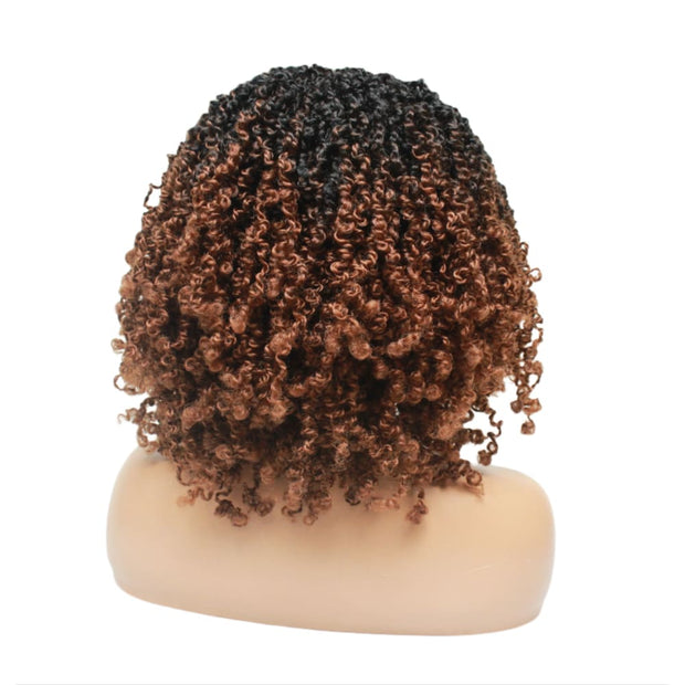 Passion Twist Brown Ombre Lace Closure Braided Wig (4979508969558)