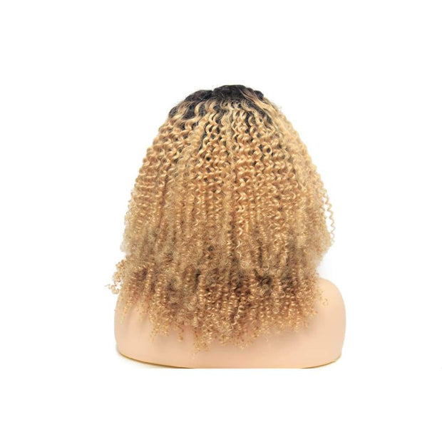 Russian Blonde Ombre Curly Human Hair Lace Closure Wig - $280.00 Lace Front Wig QualityHairByLawlar (4441660981334)