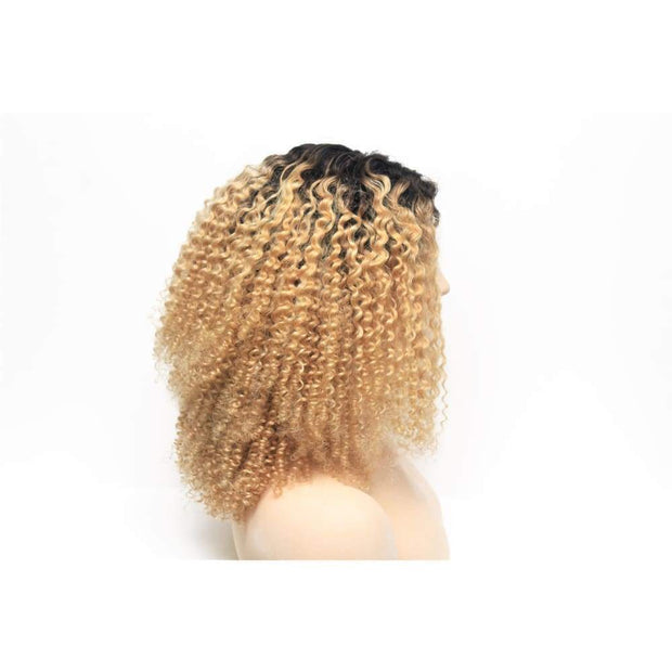 Russian Blonde Ombre Curly Human Hair Lace Closure Wig - $280.00 Lace Front Wig QualityHairByLawlar (4441660981334)