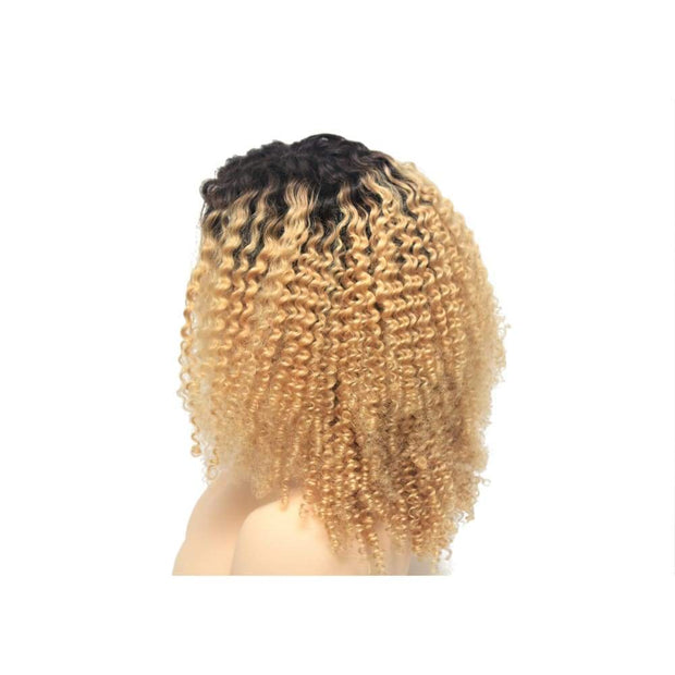 Russian Blonde Ombre Curly Human Hair Lace Closure Wig - $280.00 Lace Front Wig QualityHairByLawlar (4441660981334)