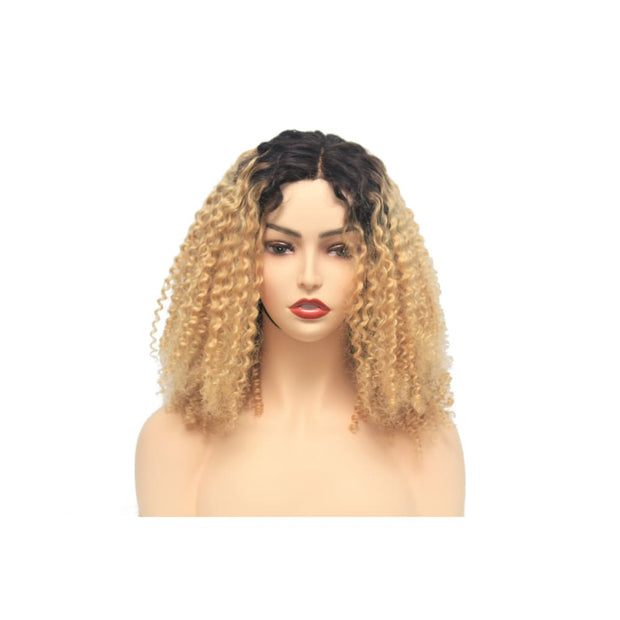 Russian Blonde Ombre Curly Human Hair Lace Closure Wig - Medium- 56cm $280.00 Lace Front Wig QualityHairByLawlar (4441660981334)