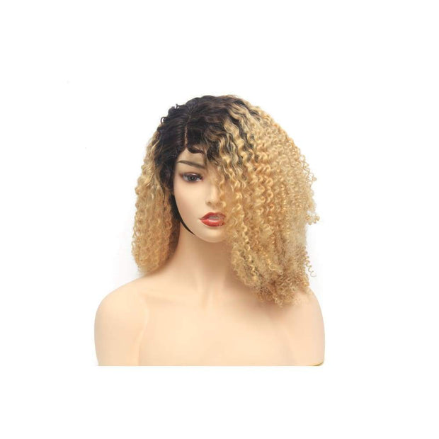 Russian Blonde Ombre Curly Human Hair Lace Closure Wig - $280.00 Lace Front Wig QualityHairByLawlar (4441660981334)