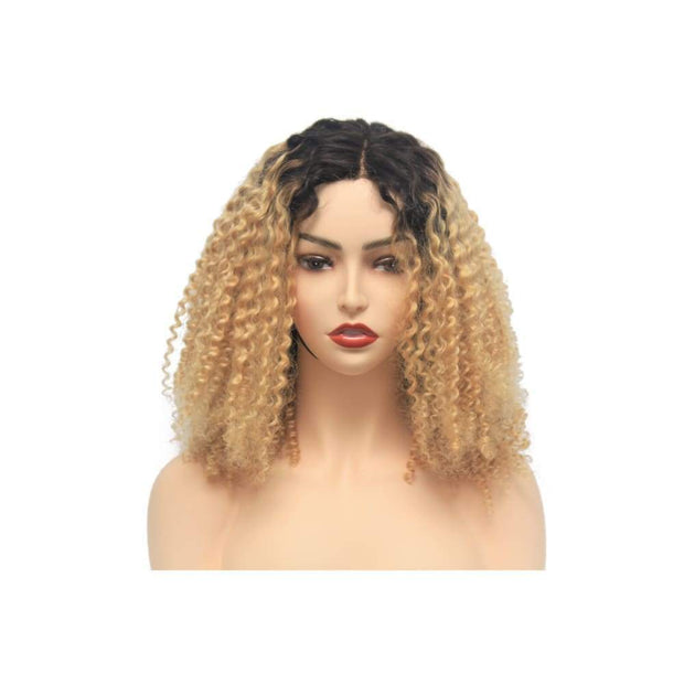 Russian Blonde Ombre Curly Human Hair Lace Closure Wig - $280.00 Lace Front Wig QualityHairByLawlar (4441660981334)