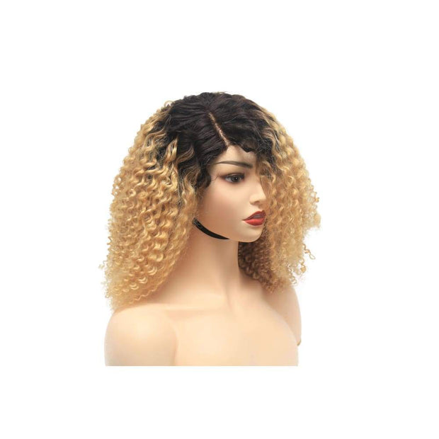 Russian Blonde Ombre Curly Human Hair Lace Closure Wig - $280.00 Lace Front Wig QualityHairByLawlar (4441660981334)