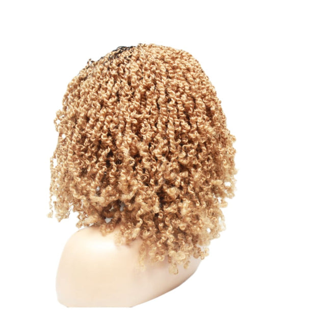 Copy of Passion Twist Glueless Lace Closure Braided Wig (6816408043606)