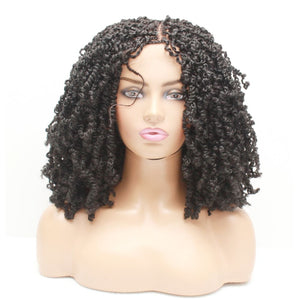 Passion Twist Ombre Two Tone Lace Closure Braided Wig- 1B - Medium - 56cm $190 Sprint Twists QualityHairByLawlar (5012764196950)