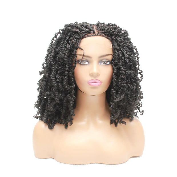 Passion Twist Ombre Two Tone Lace Closure Braided Wig- 1B - Medium - 56cm $190 Sprint Twists QualityHairByLawlar (5012764196950)
