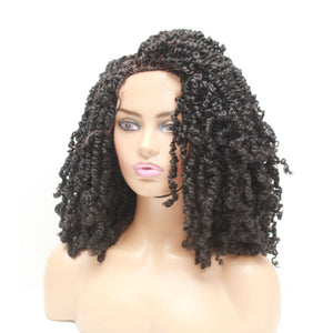 Passion Twist Ombre Two Tone Lace Closure Braided Wig- 1B - Medium - 56cm $190 Sprint Twists QualityHairByLawlar (5012764196950)