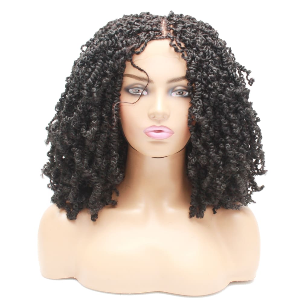 Passion Twist Ombre Two Tone Lace Closure Braided Wig- 1B - Medium - 56cm $190 Sprint Twists QualityHairByLawlar (5012764196950)