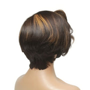 Raw Hair - Vietnamese Cropped Balayage Lace Front Wig (8112885498165)