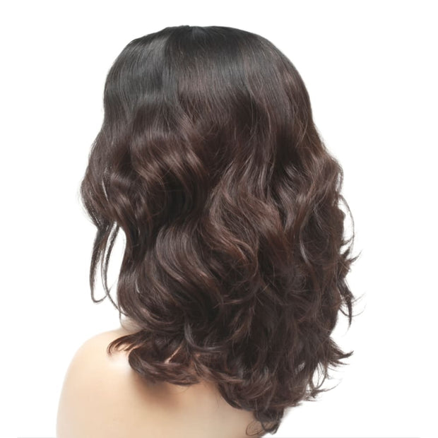 Raw Hair - Vietnamese Natural Wavy Ombre Lace Front Wig (8099752116533)